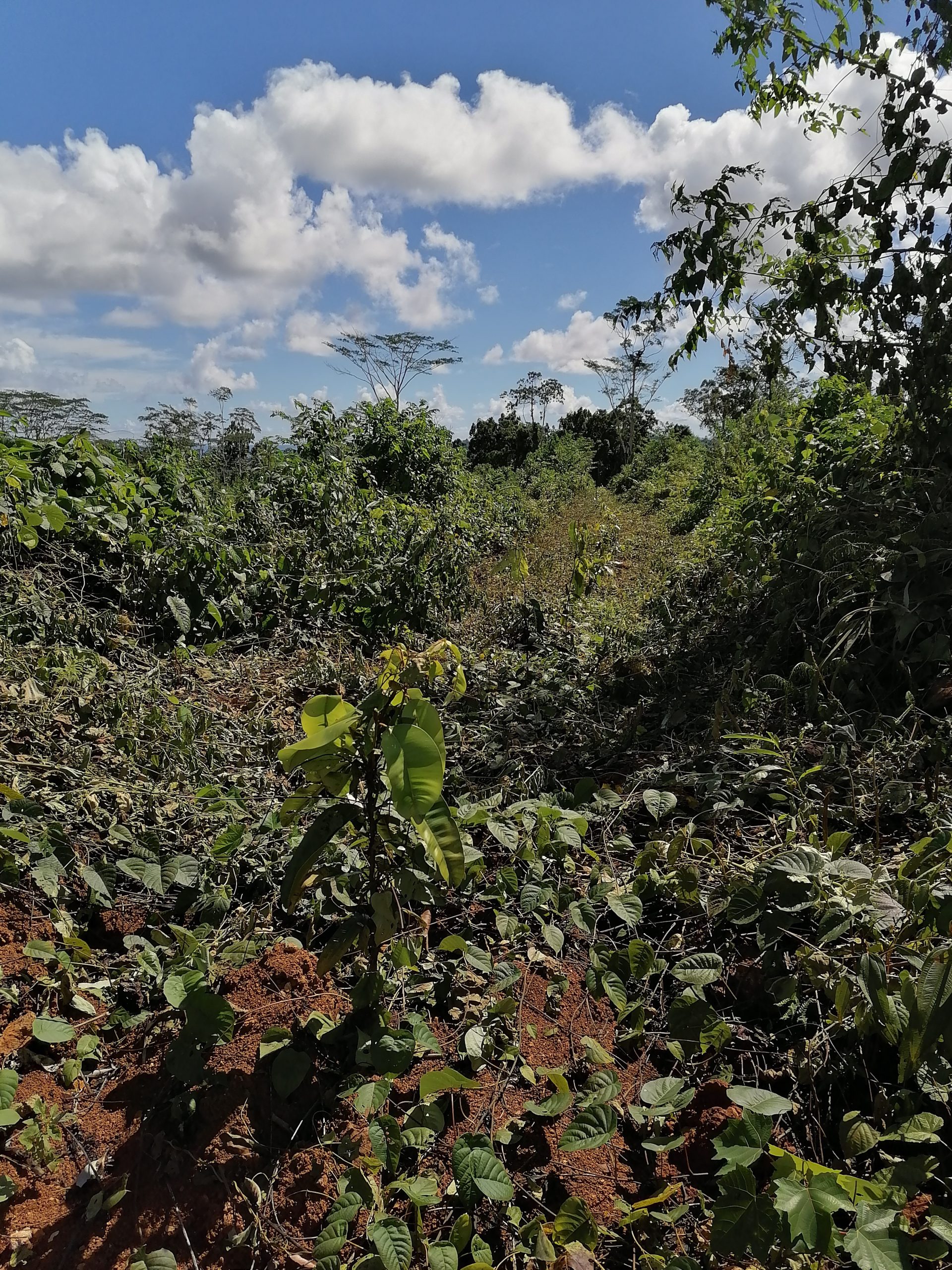 UTF-8   Py 1 block 2