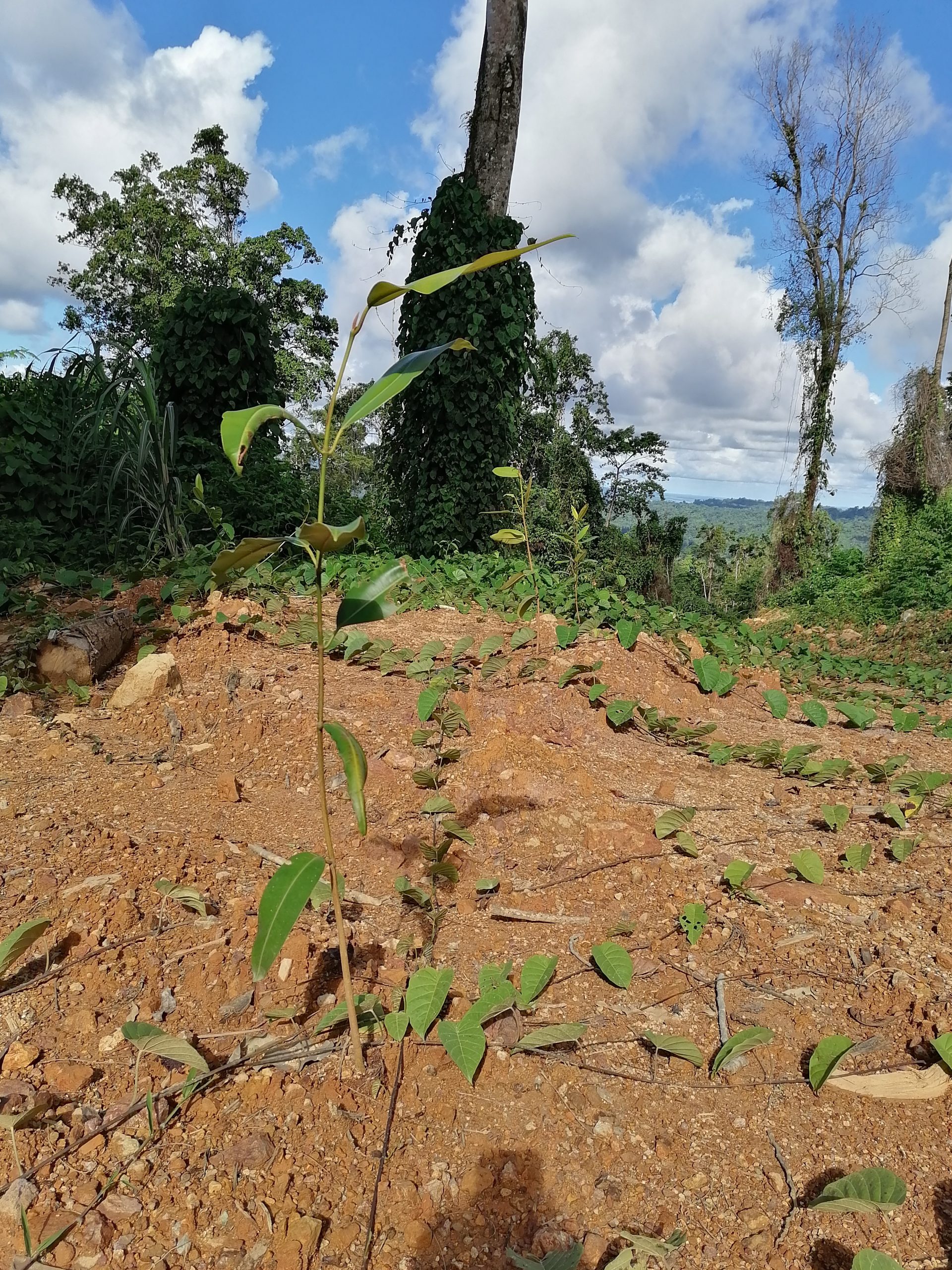 UTF-8   Py 1 block 3 Martin kalai